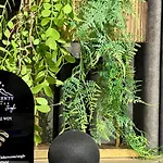 Apartment Pod Debowcem Premium Jungle Bielsko-Biala