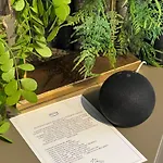 Pod Debowcem Premium Jungle