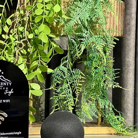 アパート Pod Debowcem Premium Jungle ビエルスコ・ビアバ