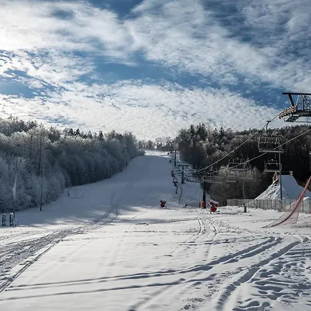 Pod Debowcem Premium Jungle Bielsko-Biała