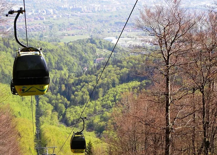 Pod Debowcem Premium Jungle