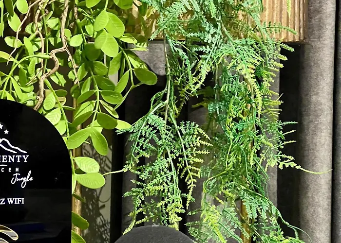 דירה Pod Debowcem Premium Jungle ביילסקו-ביאלה