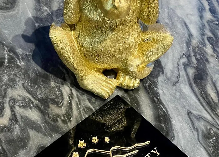 Pod Debowcem Premium Jungle * Bílsko-Bělá