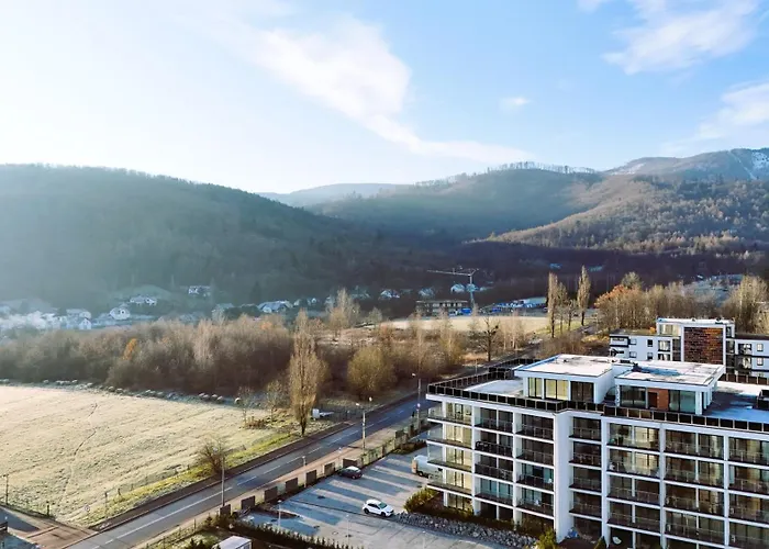 Pod Debowcem Premium Jungle *