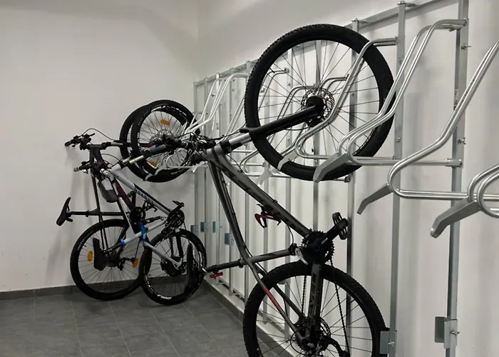 Pod Debowcem Premium Jungle Apartment