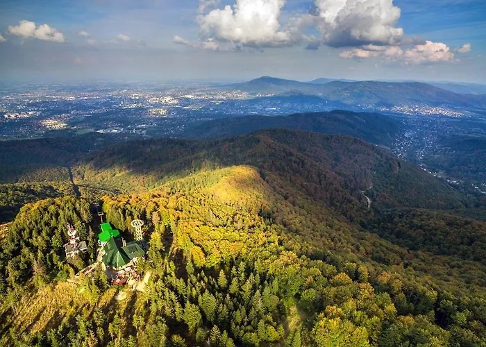 Pod Debowcem Premium Jungle דירה