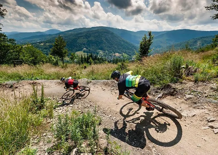 Apartment Pod Debowcem Premium Jungle *