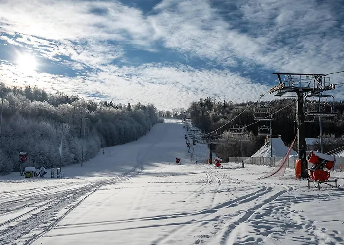 Pod Debowcem Premium Jungle Bielsko-Biala